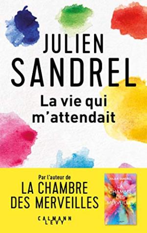 LA VIE QUI M'ATTENDAIT